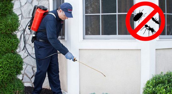 Yağlıdere Bit İlaçlama böcek ilaçlama ve haşere kontrolü — ilaclama-tr.com